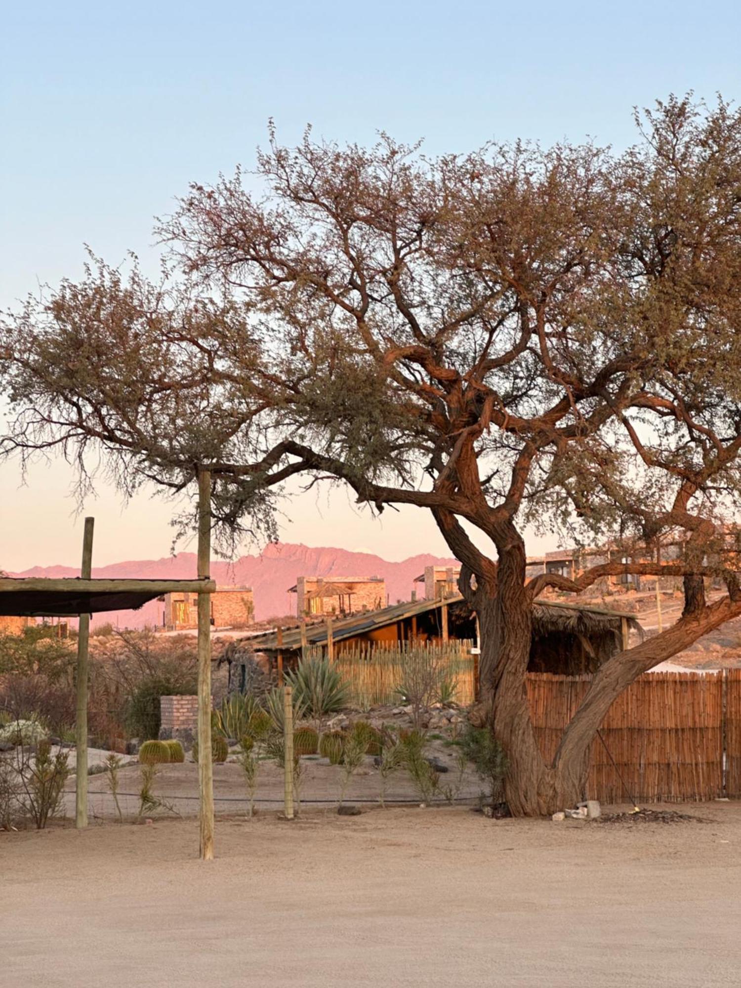 Daureb Isib Campsite And B&B Uis 外观 照片